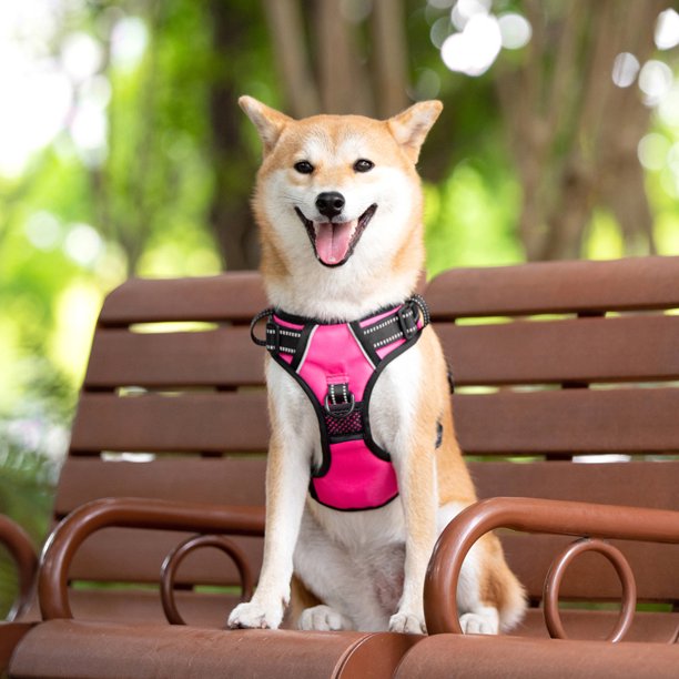 PoyPet No Pull Dog Harness,No Choke Reflective Dog Vest,Adjustable Soft Padded Pet Harness with Easy Control Handle for Small Medium Large Dogs,Pink M Search on Amazon   Search on ebay